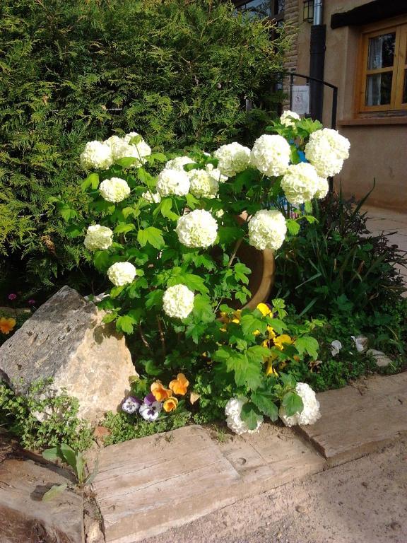 El Jardin De La Huerta Hotel Sahagún Kültér fotó